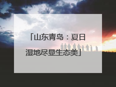 山东青岛：夏日湿地尽显生态美