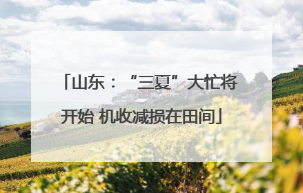 山东：“三夏”大忙将开始 机收减损在田间