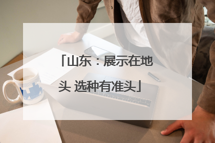 山东：展示在地头 选种有准头