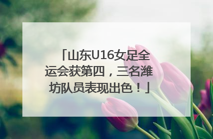 山东U16女足全运会获第四，三名潍坊队员表现出色！
