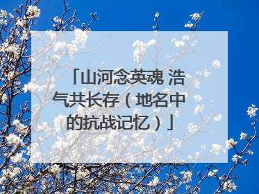 山河念英魂 浩气共长存（地名中的抗战记忆）
