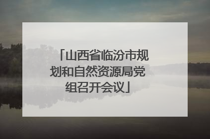 山西省临汾市规划和自然资源局党组召开会议