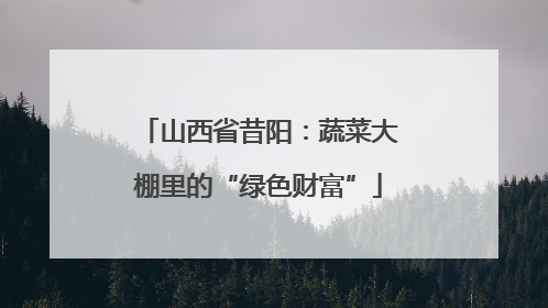 山西省昔阳：蔬菜大棚里的“绿色财富”