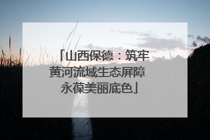 山西保德：筑牢黄河流域生态屏障 永葆美丽底色