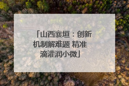 山西襄垣：创新机制解难题 精准滴灌润小微
