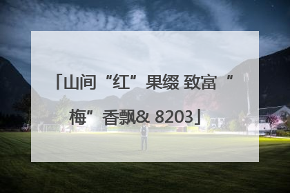 山间“红”果缀 致富“梅”香飘& 8203