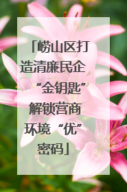 崂山区打造清廉民企“金钥匙” 解锁营商环境“优”密码