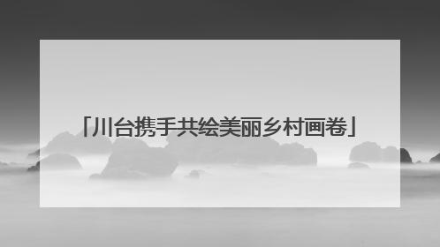 川台携手共绘美丽乡村画卷