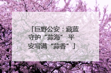 巨野公安：藏蓝守护“蒜海” 平安写满“蒜香”