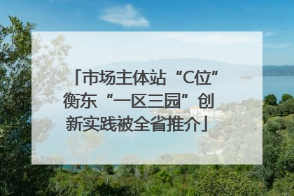 市场主体站“C位” 衡东“一区三园”创新实践被全省推介