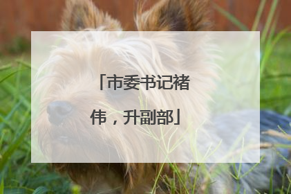 市委书记褚伟，升副部