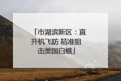 市湖滨新区：直升机飞防 精准狙击美国白蛾
