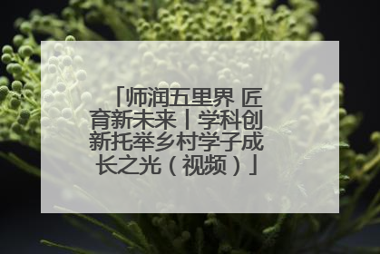 师润五里界 匠育新未来丨学科创新托举乡村学子成长之光（视频）
