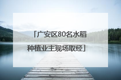 广安区80名水稻种植业主现场取经