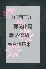 广西三江：荷花伴侗歌 农文旅融合引客来