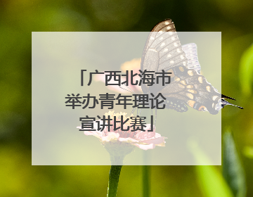 广西北海市举办青年理论宣讲比赛