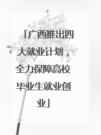 广西推出四大就业计划，全力保障高校毕业生就业创业