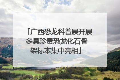 广西恐龙科普展开展 多具珍贵恐龙化石骨架标本集中亮相