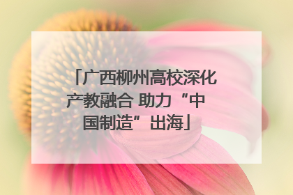 广西柳州高校深化产教融合 助力“中国制造”出海