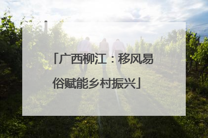 广西柳江：移风易俗赋能乡村振兴
