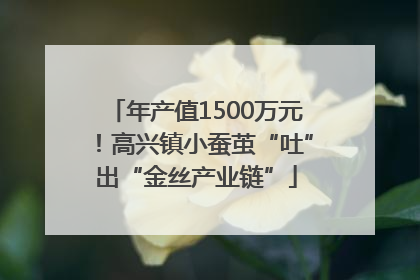 年产值1500万元！高兴镇小蚕茧“吐”出“金丝产业链”
