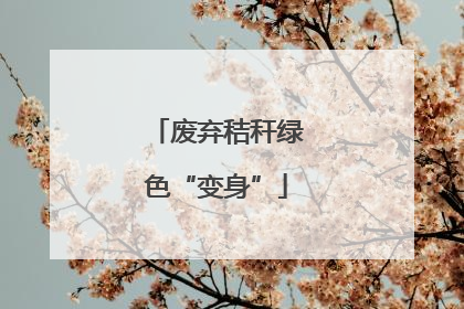 废弃秸秆绿色“变身”