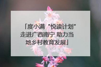 度小满“悦读计划”走进广西南宁 助力当地乡村教育发展