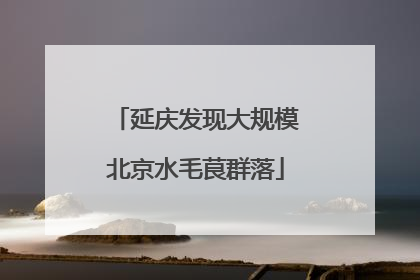 延庆发现大规模北京水毛茛群落