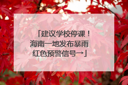 建议学校停课！海南一地发布暴雨红色预警信号→