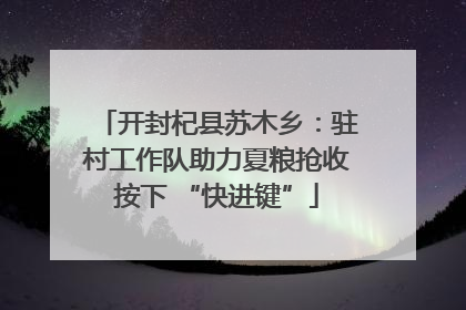 开封杞县苏木乡：驻村工作队助力夏粮抢收按下 “快进键”
