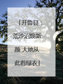 开鲁县：荒沙沼焕新颜 大地从此着绿衣
