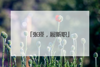 张瑾，履新职