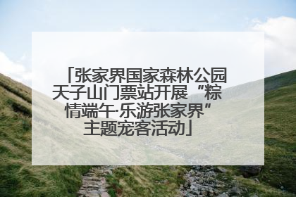 张家界国家森林公园天子山门票站开展“粽情端午·乐游张家界”主题宠客活动