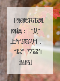 张家港市凤凰镇：“艾”上军旅岁月，“粽”享端午温情