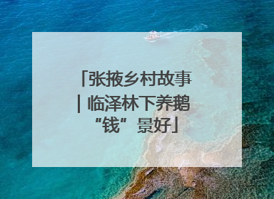 张掖乡村故事｜临泽林下养鹅“钱”景好