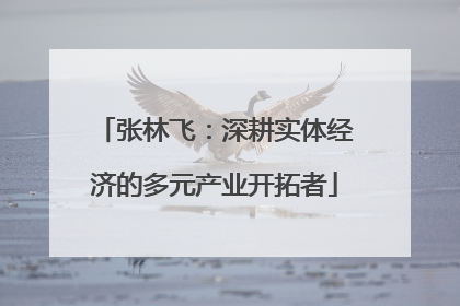 张林飞：深耕实体经济的多元产业开拓者