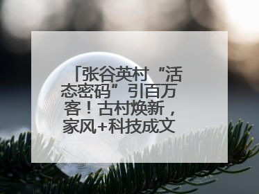 张谷英村“活态密码”引百万客！古村焕新，家风+科技成文旅融合新爆点