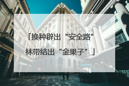 换种辟出“安全路” 林带结出“金果子”