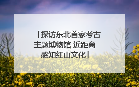 探访东北首家考古主题博物馆 近距离感知红山文化