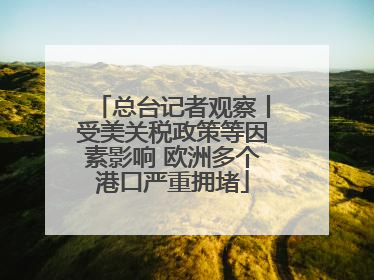 总台记者观察丨受美关税政策等因素影响 欧洲多个港口严重拥堵