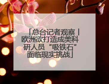 总台记者观察丨欧洲欲打造成美科研人员“吸铁石”面临现实挑战