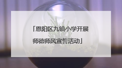 恩阳区九镇小学开展师德师风宣誓活动
