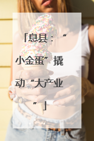 息县：“小金蛋”撬动“大产业”