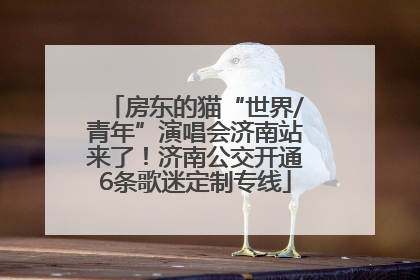 房东的猫“世界/青年”演唱会济南站来了！济南公交开通6条歌迷定制专线