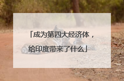 成为第四大经济体，给印度带来了什么