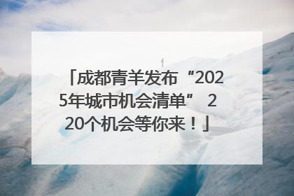 成都青羊发布“2025年城市机会清单” 220个机会等你来！