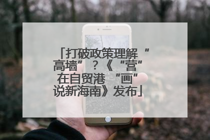 打破政策理解“高墙”？《“营”在自贸港 “画”说新海南》发布