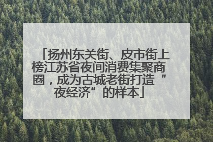扬州东关街、皮市街上榜江苏省夜间消费集聚商圈，成为古城老街打造“夜经济”的样本