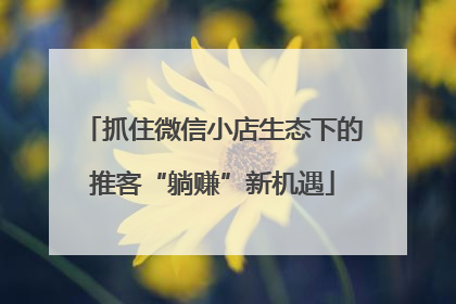 抓住微信小店生态下的推客“躺赚”新机遇