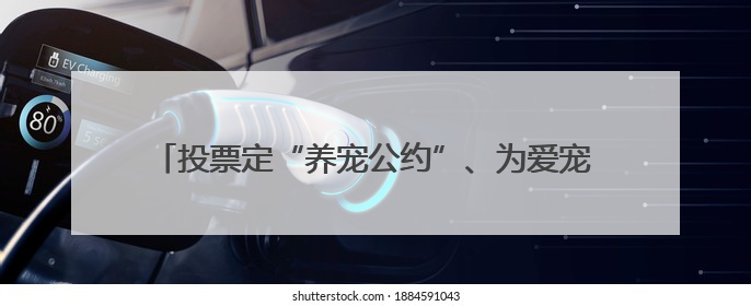 投票定“养宠公约”、为爱宠做牵引绳、比拼谁家人宠最默契，这场活动有趣更有意义